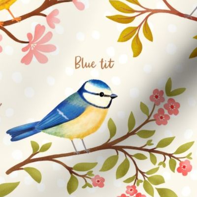 Beautiful Birds (xlarge) - Joy of Birding - Birdwatching - Bird Identification