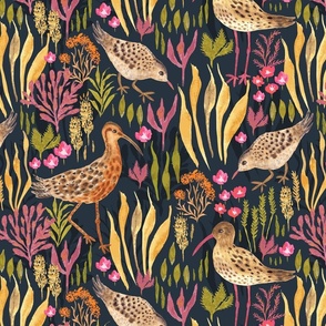 Watercolour Coastal Birds
