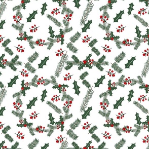 Holly, Berries and Pine Needles on White