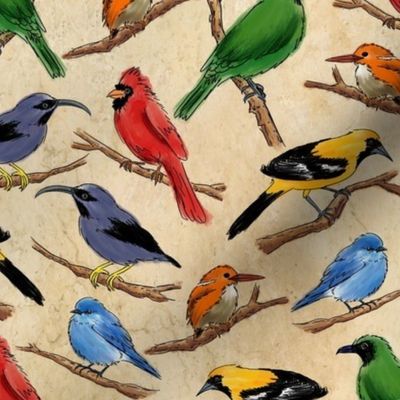 Birds of the Color Wheel ©Julee Wood