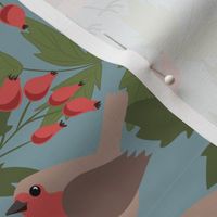 Robins And Rosehips