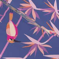Motmot bird in tropical paradise strelitzia XL wallpaper scale in pink orange dusk by Pippa Shaw