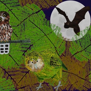 Manu o te Pō - NZ Birds of the Night