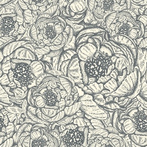 Vintage Peony: Graphite Gray