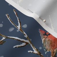 Red Cardinal Perched on a Snow Covered Tree Branch - Large Scale