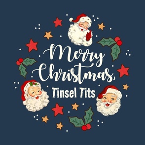 18x18 Panel Merry Christmas, Tinsel Tits! Sarcastic Naughty Santa for Throw Pillow Placemat or Cushion Cover