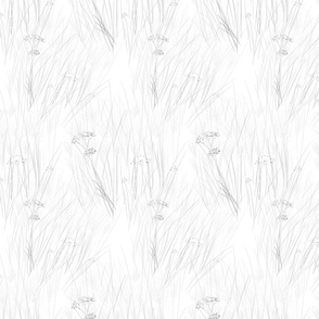 Wild grasses grey on white