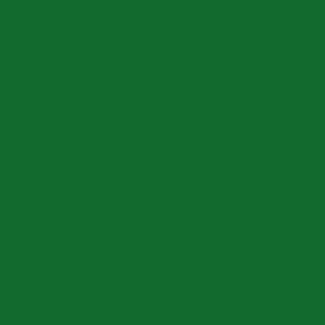 Green Solid #136A2E