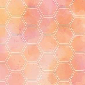 Watercolor Hexagon Melon Small