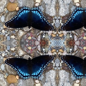 AJ RED SPOTTED PURPLE ON COLORED ROCKS 1 BRBCC-HORIZONTAL-EXTRA LARGE-MIRROR
