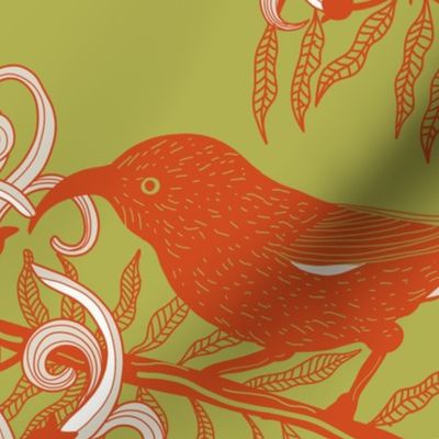 Endangered Iiwi Birds on Kolii Blossoms sage