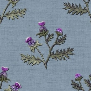 Thistle_03 Decal Blue Grey