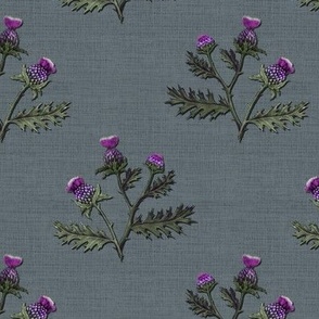 Thistle_03 Decal Mid Grey // standard