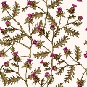 Thistle Brambles Ivory // standard