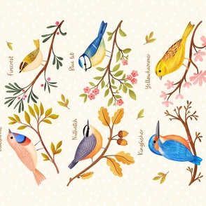 Beautiful Birds (PANEL 27in x 18in) - Joy of Birding - Birdwatching - Bird Identification