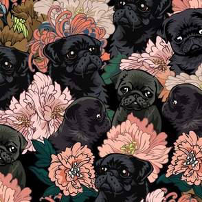  Because Black Pug