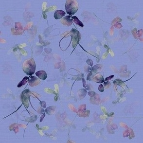 purple orchids / blue / flowers