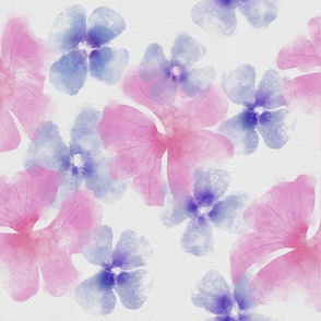 Pink Petals : Pink and purple flowers on white