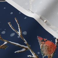 Red Cardinal Perched on a Snow Covered Tree Branch - Medium Scale