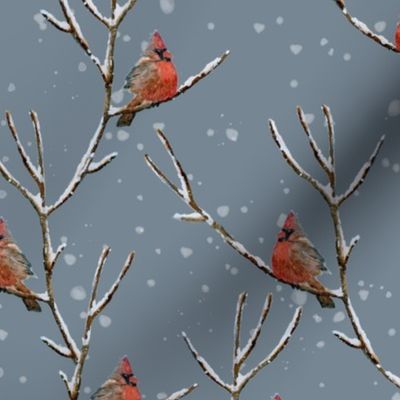 Red Cardinal Perched on a Snow Covered Tree Branch - Medium Scale