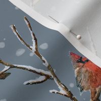 Red Cardinal Perched on a Snow Covered Tree Branch - Large Scale