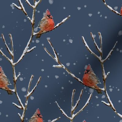 Red Cardinal Perched on a Snow Covered Tree Branch - Medium Scale