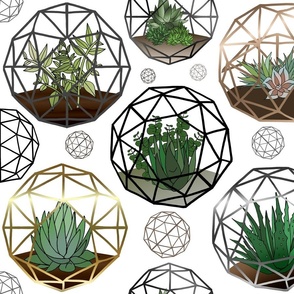 Geodesic Terrariums (large scale) 