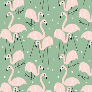 Flamingo Frolic