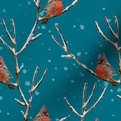 Red Cardinal Perched on a Snow Covered Tree Branch - Large Scale