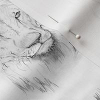 Custom scale lion portrait black and white