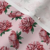 Peony Romantic // Normal Scale // Peony Flowers // Watercolor Flowers // Greenery Leaves // Rococo Vibe // Pink Background