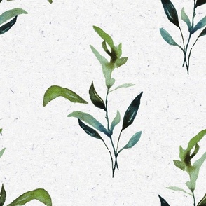 Large Olive green leaves / watercolor