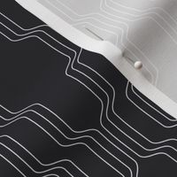 Elegant Lines - Ash Gray on Charcoal Black