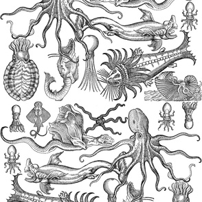 Antique Horrors of the Deep 