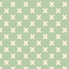 Extra Small  Geometric X Mint and Beige