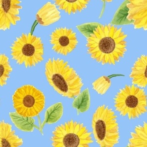 Sunflowers  on Sky Blue