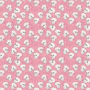Pastel Pink_Skull