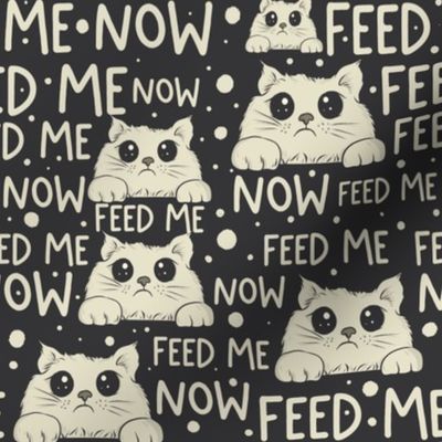 Feed_me_now