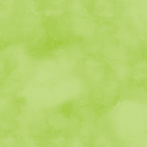 Lime Smoothie Texture Coordinate (24.3" repeat)