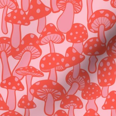 Pink mushrooms