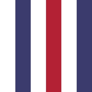 3 inch Flag Red, White and Blue Alternating V Stripes