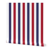 2 inch Flag Red, White and Blue Alternating V Stripes