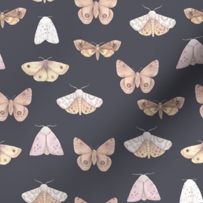 Watercolor Moths on Slate 