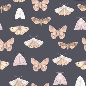 Watercolor Moths on Slate 
