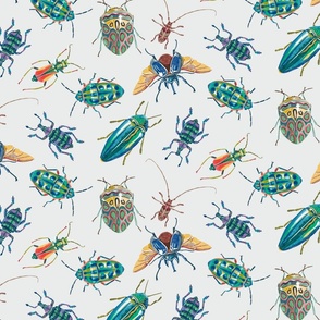 Bugs and Beetles on Green Gray, Small Scale