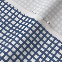 Painted Gingham Check // Soft Blue  (Small 4" Scale)