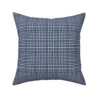 Painted Gingham Check // Dark Navy   (Small 4" Scale)