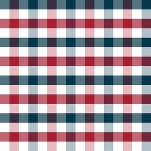 small // gingham // red, white, & navy blue