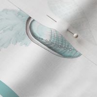 Coquillages (Pastel Blue) Wallpaper Border 6x36in