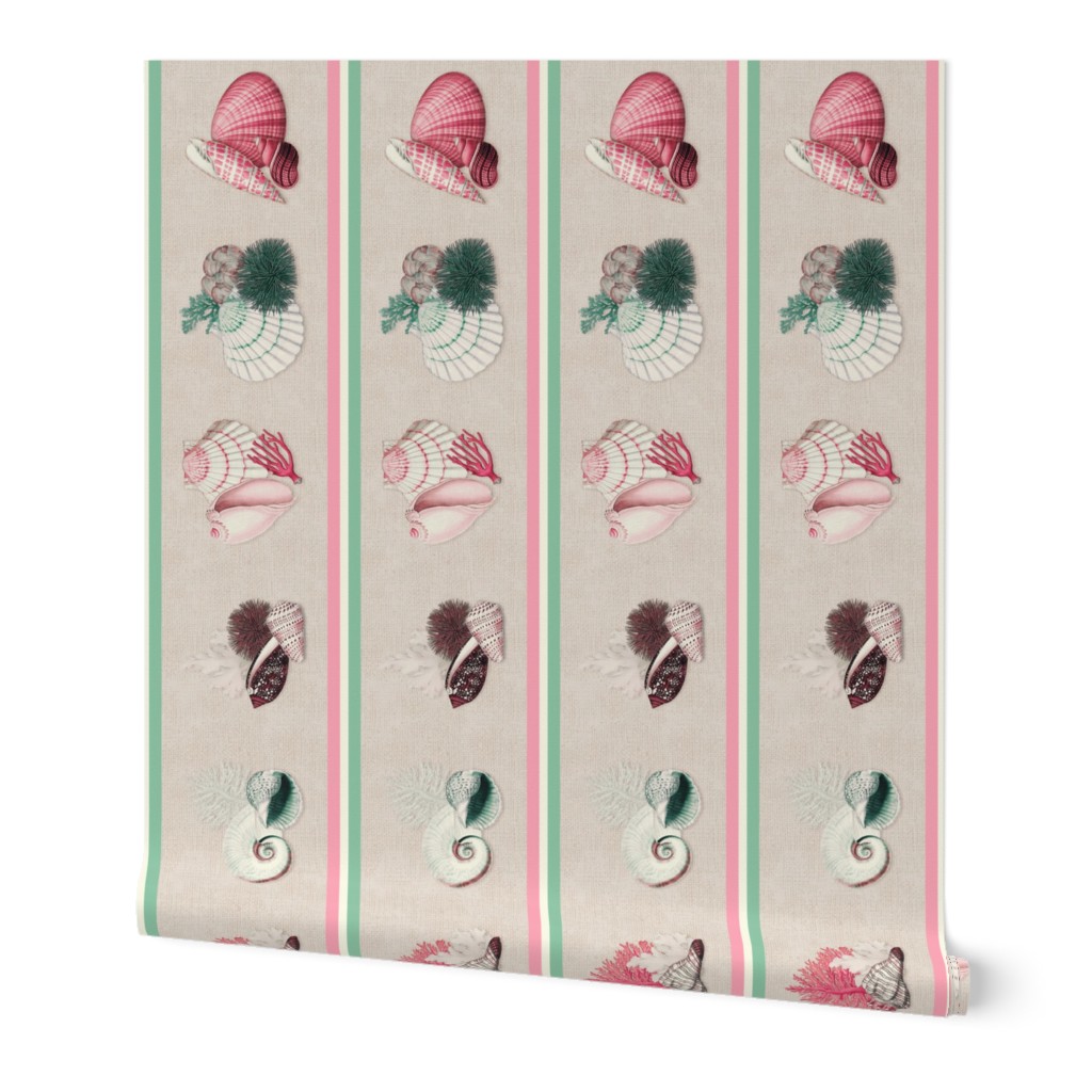 Coquillages (Carmine Mint) Wallpaper Border 6x36in